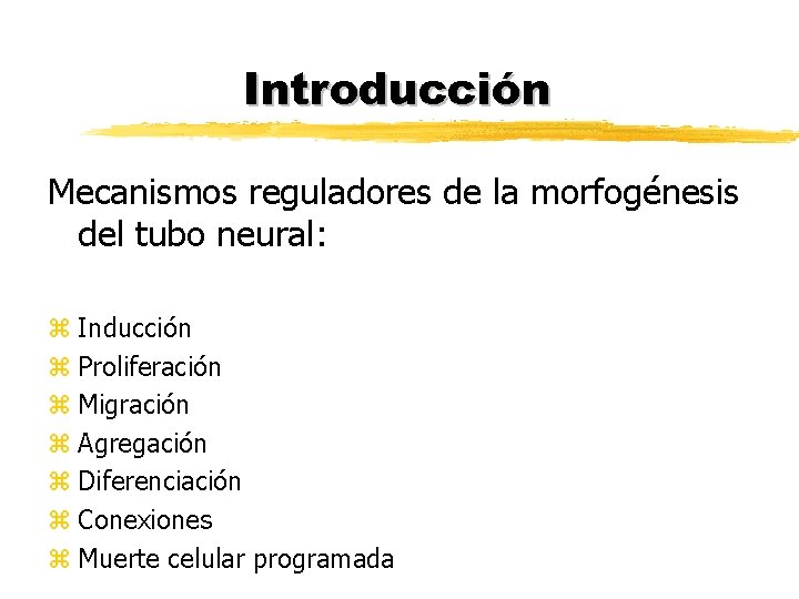 Introducción Mecanismos reguladores de la morfogénesis del tubo neural: z Inducción z Proliferación z Introducción Mecanismos reguladores de la morfogénesis del tubo neural: z Inducción z Proliferación z