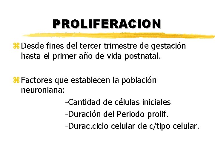 PROLIFERACION z Desde fines del tercer trimestre de gestación hasta el primer año de PROLIFERACION z Desde fines del tercer trimestre de gestación hasta el primer año de