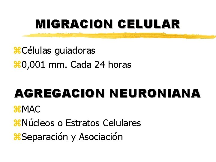 MIGRACION CELULAR z. Células guiadoras z 0, 001 mm. Cada 24 horas AGREGACION NEURONIANA MIGRACION CELULAR z. Células guiadoras z 0, 001 mm. Cada 24 horas AGREGACION NEURONIANA