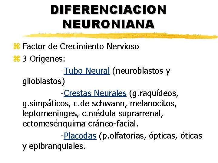 DIFERENCIACION NEURONIANA z Factor de Crecimiento Nervioso z 3 Orígenes: -Tubo Neural (neuroblastos y DIFERENCIACION NEURONIANA z Factor de Crecimiento Nervioso z 3 Orígenes: -Tubo Neural (neuroblastos y