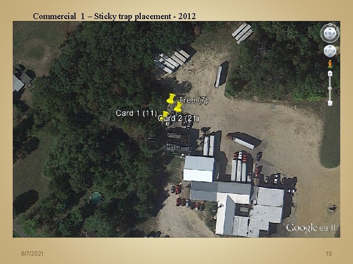 Commercial 1 – Sticky trap placement - 2012 6/7/2021 10 Commercial 1 – Sticky trap placement - 2012 6/7/2021 10