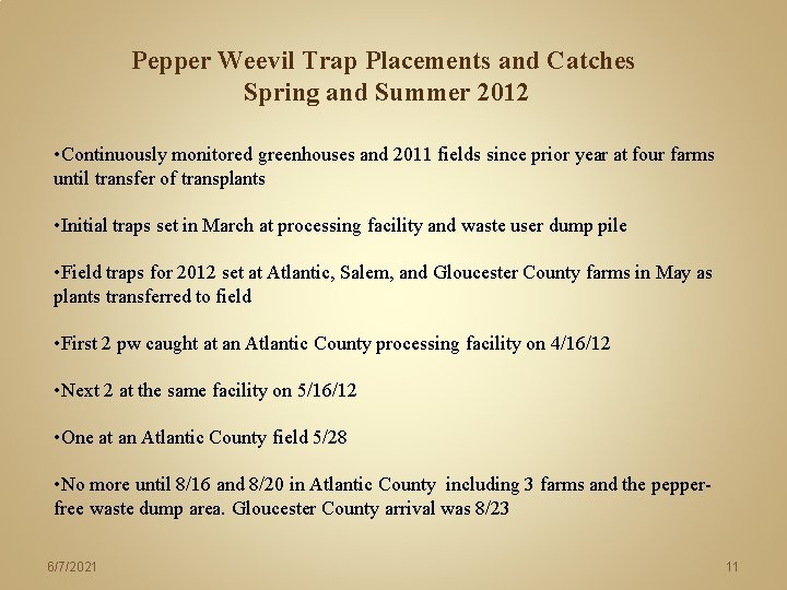 Pepper Weevil Trap Placements and Catches Spring and Summer 2012 • Continuously monitored greenhouses Pepper Weevil Trap Placements and Catches Spring and Summer 2012 • Continuously monitored greenhouses