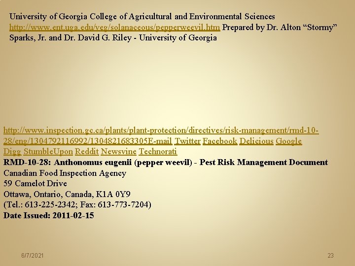 University of Georgia College of Agricultural and Environmental Sciences http: //www. ent. uga. edu/veg/solanaceous/pepperweevil. University of Georgia College of Agricultural and Environmental Sciences http: //www. ent. uga. edu/veg/solanaceous/pepperweevil.
