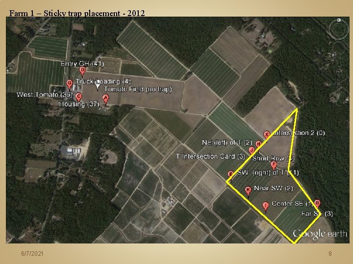 Farm 1 – Sticky trap placement - 2012 6/7/2021 8 Farm 1 – Sticky trap placement - 2012 6/7/2021 8