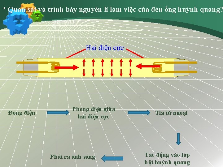 * Quan sát và trình bày nguyên lí làm việc của đèn ống huỳnh