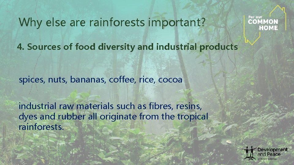 Why else are rainforests important? 4. Sources of food diversity and industrial products spices, Why else are rainforests important? 4. Sources of food diversity and industrial products spices,