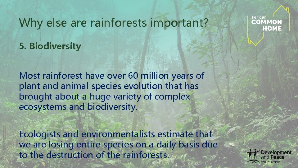 Why else are rainforests important? 5. Biodiversity Most rainforest have over 60 million years Why else are rainforests important? 5. Biodiversity Most rainforest have over 60 million years