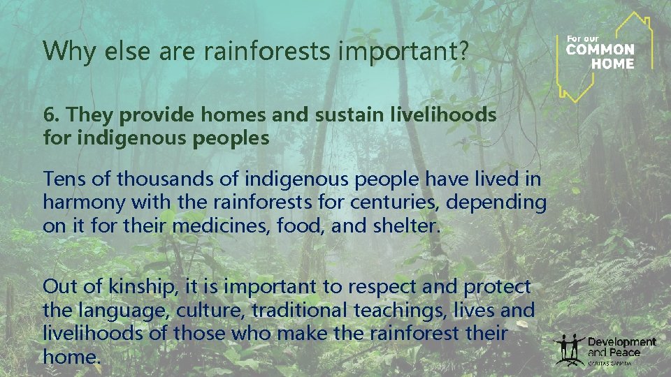 Why else are rainforests important? 6. They provide homes and sustain livelihoods for indigenous Why else are rainforests important? 6. They provide homes and sustain livelihoods for indigenous
