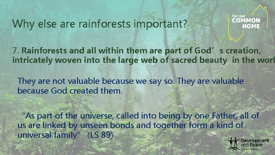 Why else are rainforests important? 7. Rainforests and all within them are part of Why else are rainforests important? 7. Rainforests and all within them are part of