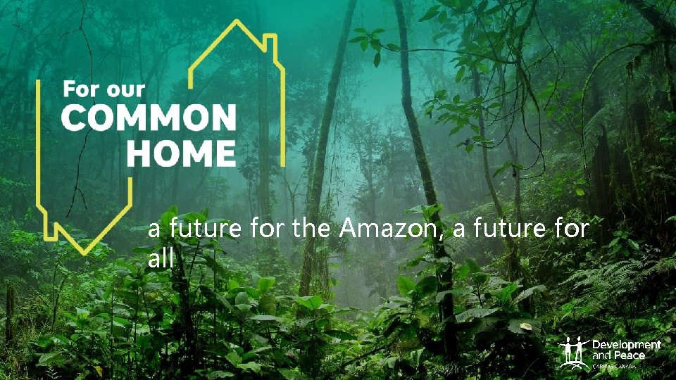 a future for the Amazon, a future for all a future for the Amazon, a future for all