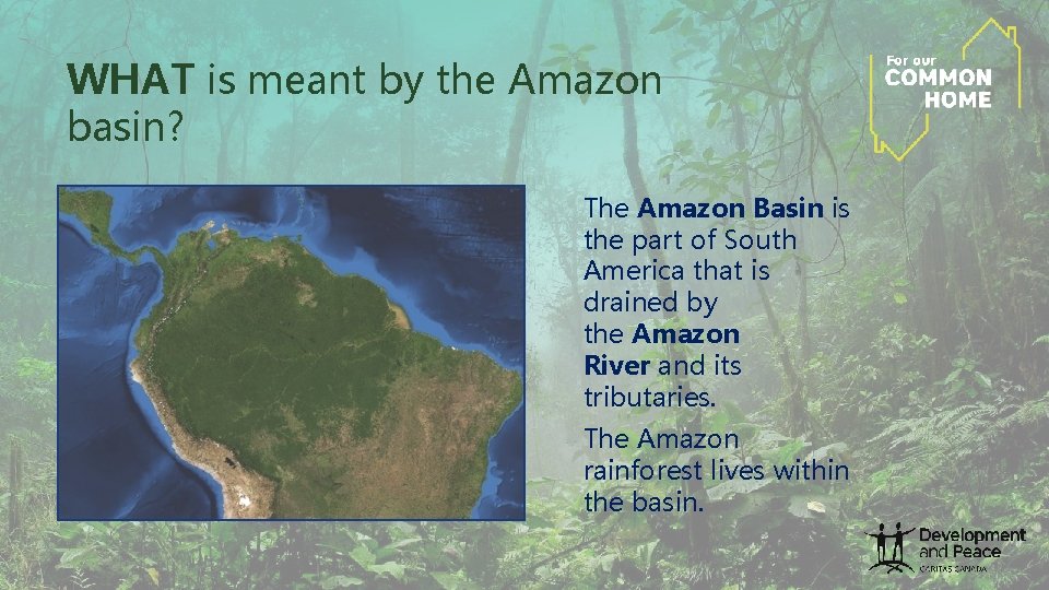 WHAT is meant by the Amazon basin? The Amazon Basin is the part of WHAT is meant by the Amazon basin? The Amazon Basin is the part of