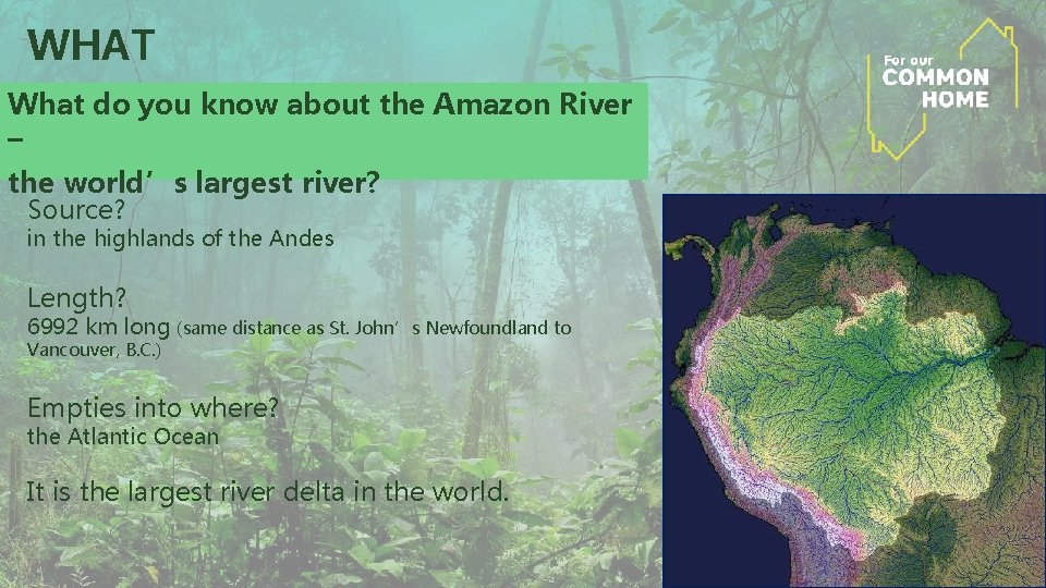 WHAT What do you know about the Amazon River – the world’s largest river? WHAT What do you know about the Amazon River – the world’s largest river?