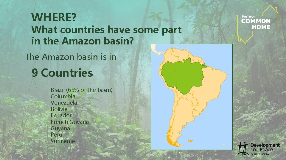 WHERE? What countries have some part in the Amazon basin? The Amazon basin is WHERE? What countries have some part in the Amazon basin? The Amazon basin is