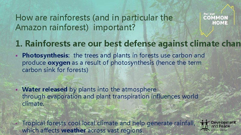 How are rainforests (and in particular the Amazon rainforest) important? 1. Rainforests are our How are rainforests (and in particular the Amazon rainforest) important? 1. Rainforests are our