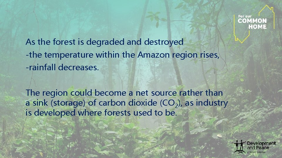 As the forest is degraded and destroyed -the temperature within the Amazon region rises, As the forest is degraded and destroyed -the temperature within the Amazon region rises,