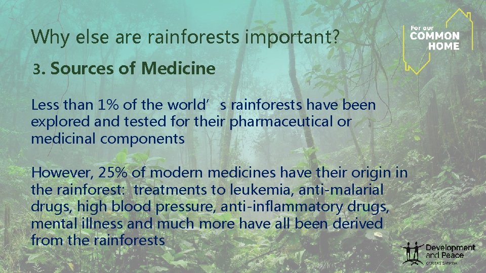 Why else are rainforests important? 3. Sources of Medicine Less than 1% of the Why else are rainforests important? 3. Sources of Medicine Less than 1% of the