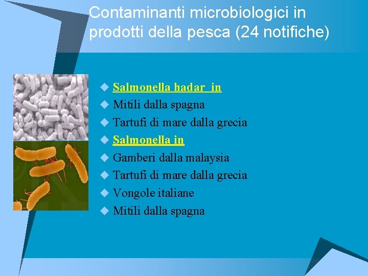 Contaminanti microbiologici in prodotti della pesca (24 notifiche) u Salmonella hadar in u Mitili