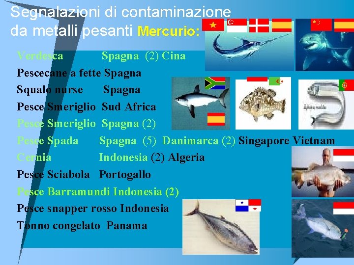 Segnalazioni di contaminazione da metalli pesanti Mercurio: u Verdesca Spagna (2) Cina u Pescecane