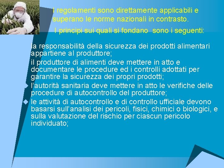 I regolamenti sono direttamente applicabili e superano le norme nazionali in contrasto. I principi