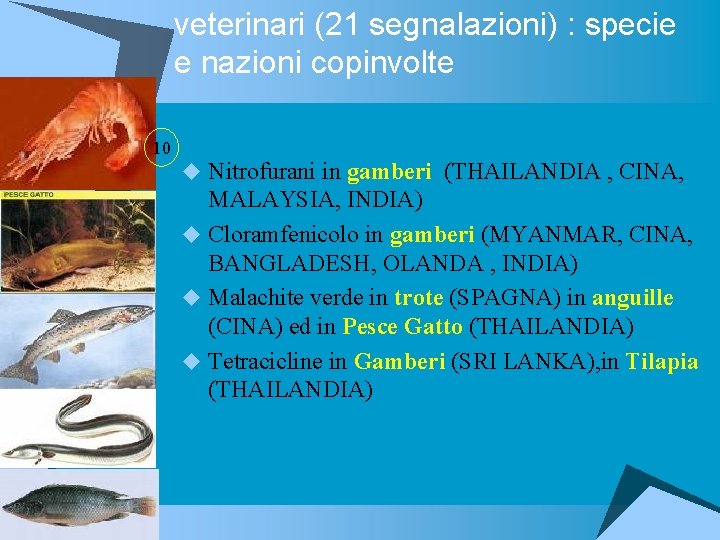 veterinari (21 segnalazioni) : specie e nazioni copinvolte 10 u Nitrofurani in gamberi (THAILANDIA