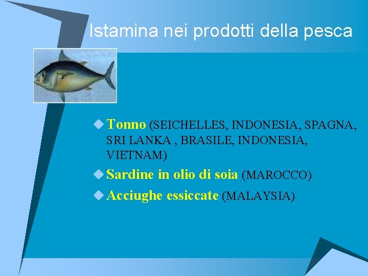 Istamina nei prodotti della pesca u Tonno (SEICHELLES, INDONESIA, SPAGNA, SRI LANKA , BRASILE,