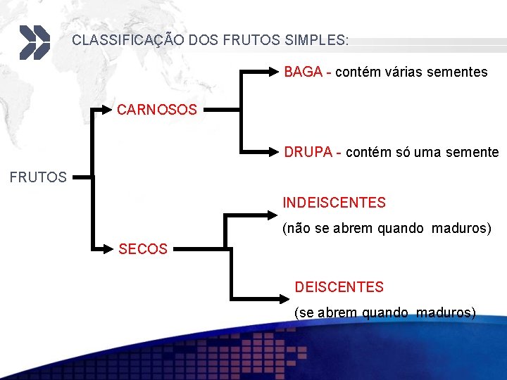 CLASSIFICAÇÃO DOS FRUTOS SIMPLES: BAGA - contém várias sementes CARNOSOS DRUPA - contém só