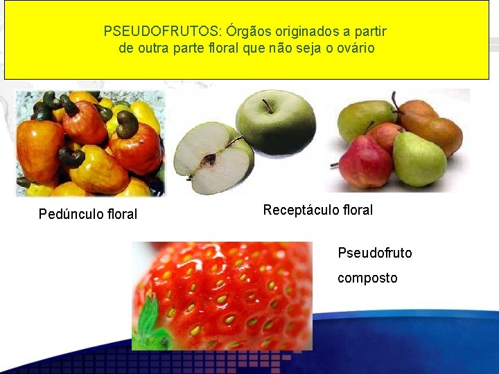 PSEUDOFRUTOS: Órgãos originados a partir de outra parte floral que não seja o ovário