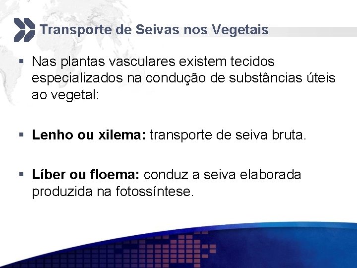 Transporte de Seivas nos Vegetais § Nas plantas vasculares existem tecidos especializados na condução