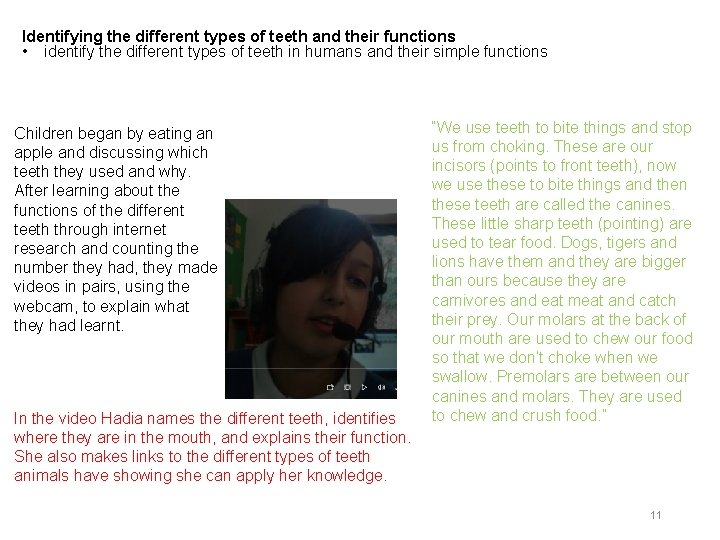 Identifying the different types of teeth and their functions • identify the different types