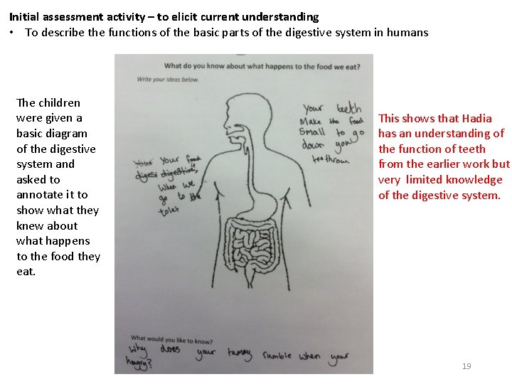 Initial assessment activity – to elicit current understanding • To describe the functions of