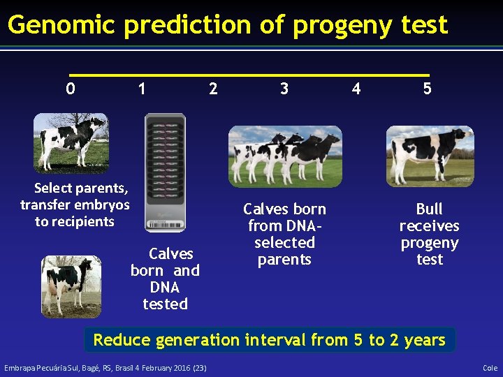 Genomic prediction of progeny test 0 1 Select parents, transfer embryos to recipients Calves