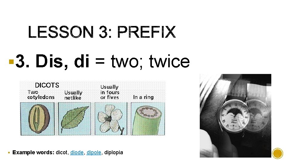 § 3. Dis, di = two; twice § Example words: dicot, diode, dipole, diplopia