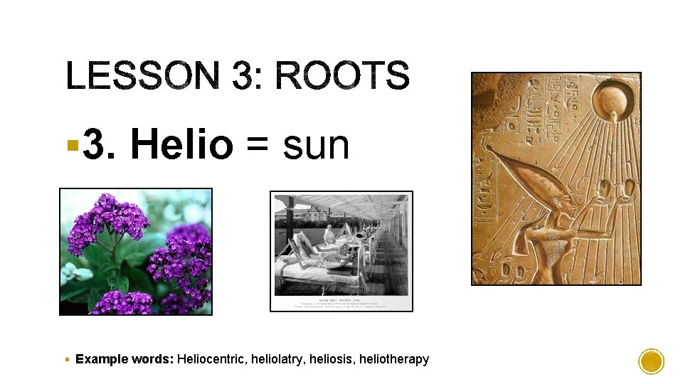 § 3. Helio = sun § Example words: Heliocentric, heliolatry, heliosis, heliotherapy 