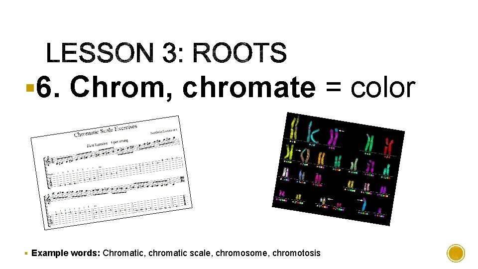 § 6. Chrom, chromate = color § Example words: Chromatic, chromatic scale, chromosome, chromotosis