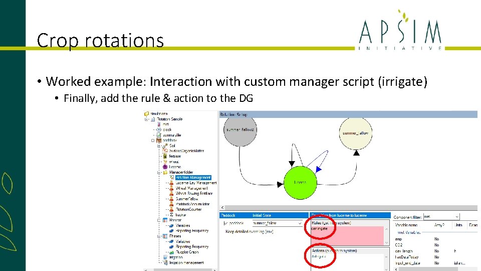 Crop rotations • Worked example: Interaction with custom manager script (irrigate) • Finally, add