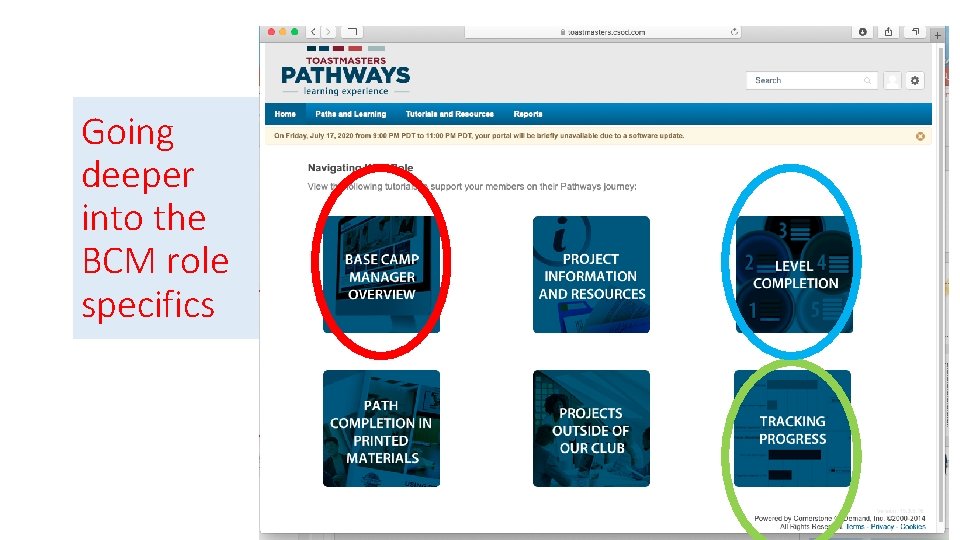 Going deeper into the BCM role specifics 