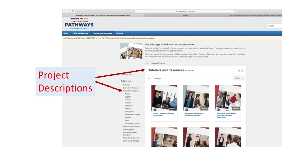 Project Descriptions 