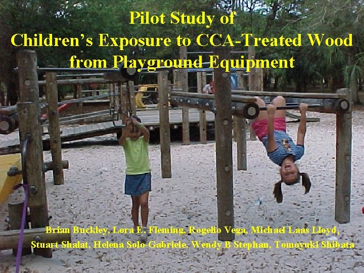 Pilot Study of Children’s Exposure to CCA-Treated Wood from Playground Equipment Brian Buckley, Lora