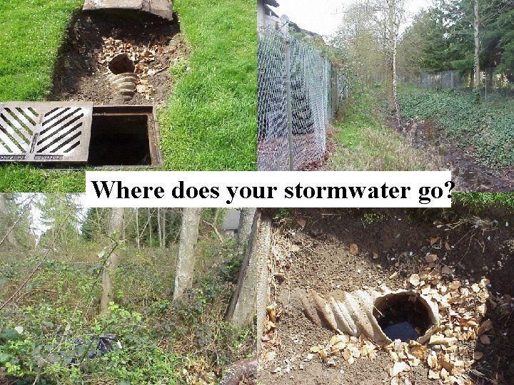Where does your stormwater go? Where does your stormwater go?