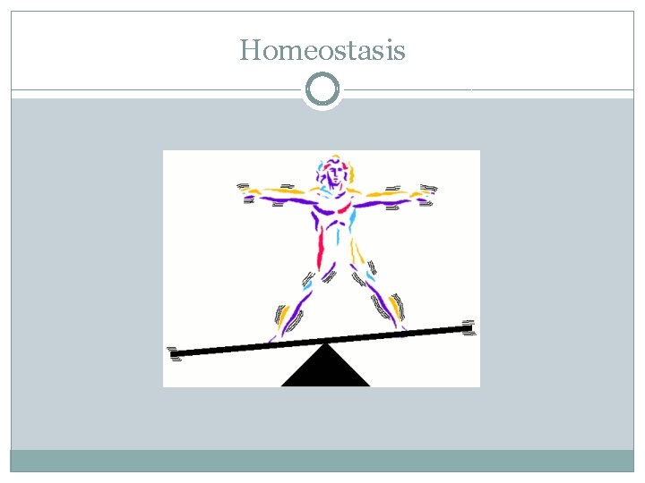 Homeostasis 