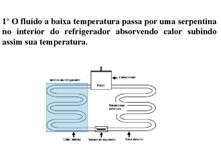 1º O fluído a baixa temperatura passa por uma serpentina no interior do refrigerador 1º O fluído a baixa temperatura passa por uma serpentina no interior do refrigerador