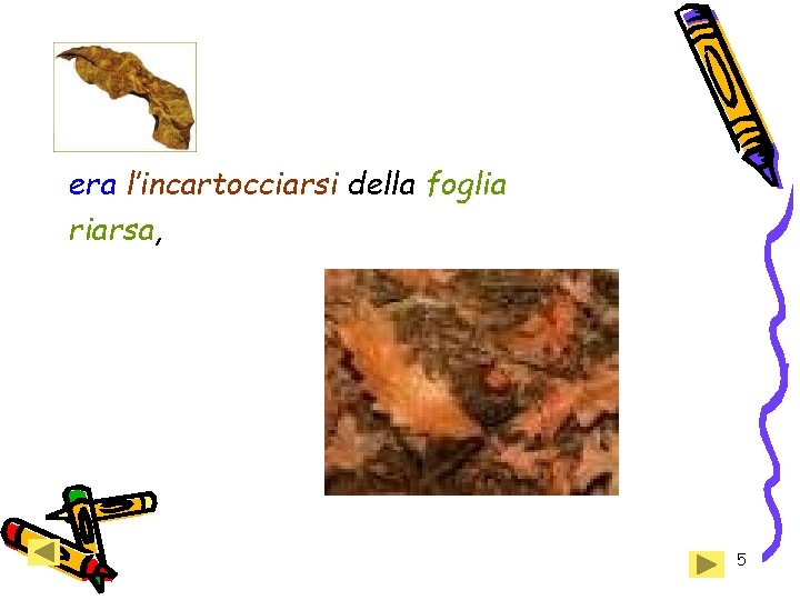 era l’incartocciarsi della foglia riarsa, 5 era l’incartocciarsi della foglia riarsa, 5