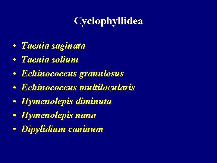 Cyclophyllidea • • Taenia saginata Taenia solium Echinococcus granulosus Echinococcus multilocularis Hymenolepis diminuta Hymenolepis