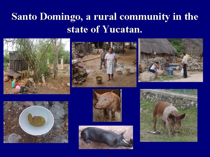 Santo Domingo, a rural community in the state of Yucatan. 