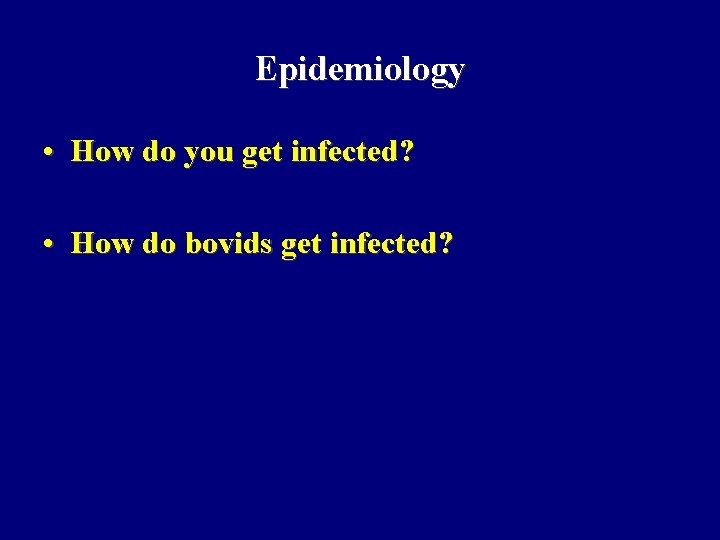 Epidemiology • How do you get infected? • How do bovids get infected? 