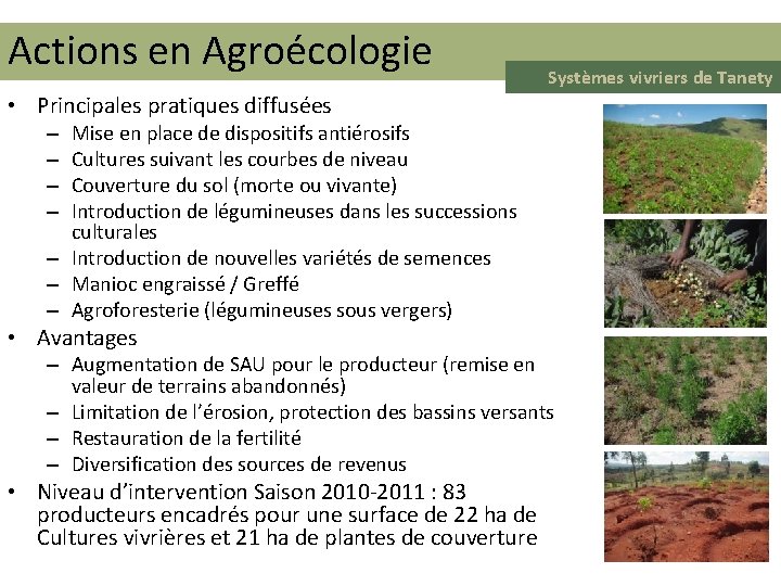 Actions en Agroécologie Systèmes vivriers de Tanety • Principales pratiques diffusées Mise en place