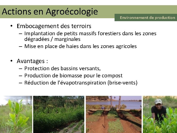 Actions en Agroécologie Environnement de production • Embocagement des terroirs – Implantation de petits