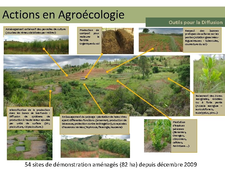 Actions en Agroécologie Aménagement antiérosif des parcelles de culture (courbes de niveau stabilisées par