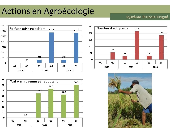 Actions en Agroécologie 7000 6000 Surface mise en culture 250 5716 5602 Système Rizicole