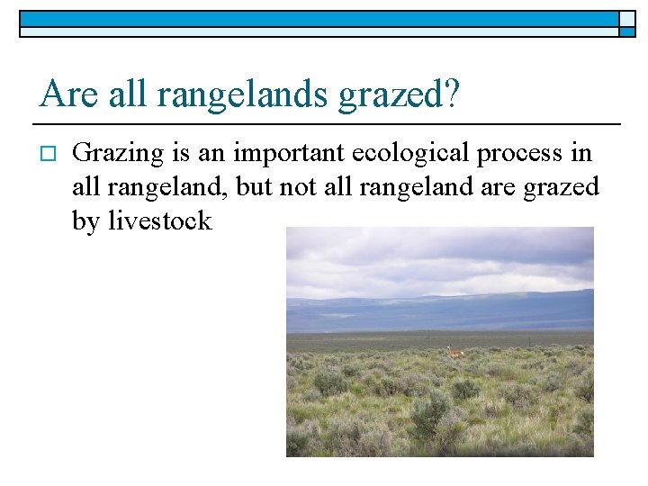 Are all rangelands grazed? o Grazing is an important ecological process in all rangeland,